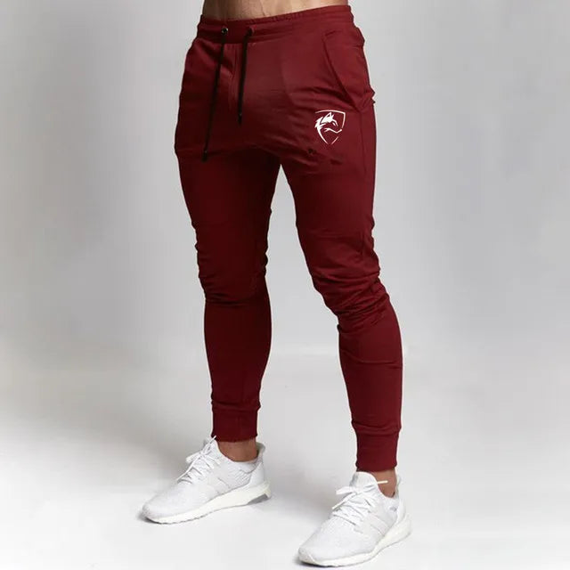 ALPHALETE Spring Autumn Gyms Men Joggers Sweatpants Men's Joggers Trousers Sporting Clothing The High Quality Bodybuilding Pants