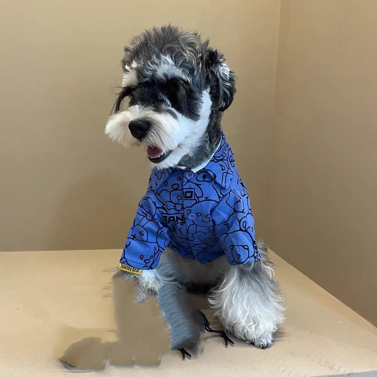 Cartoon Dog Clothes Shirt Blue Bear Pet Clothing Fashion Cute Casual Comfortable Dogs Trendy Spring Autumn Girls Boy