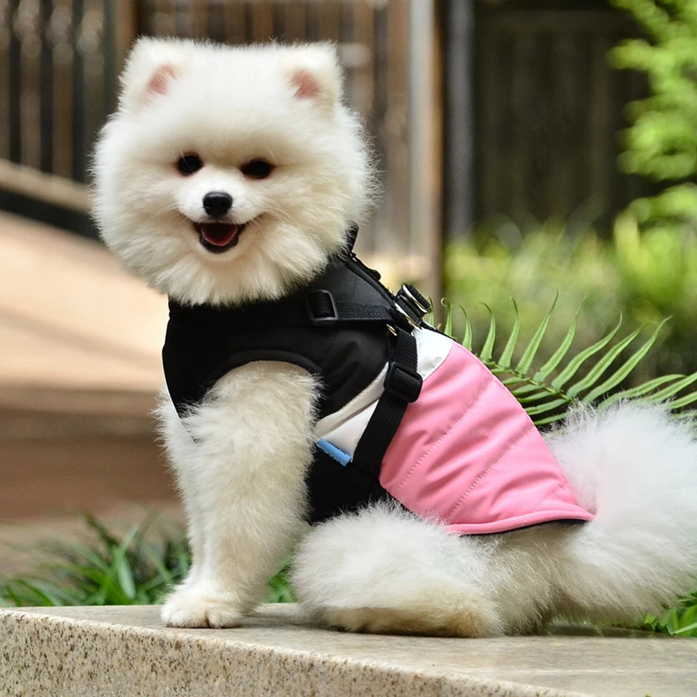 Pet Dog Jacket With Harness Winter Warm Dog Clothes Waterproof Big Dog Coat For Labrador Chihuahua French Bulldog Outfits